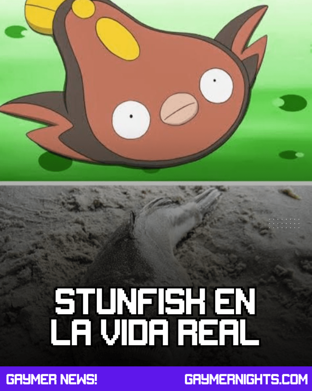 Stunfisk en la vida&nbsp;real