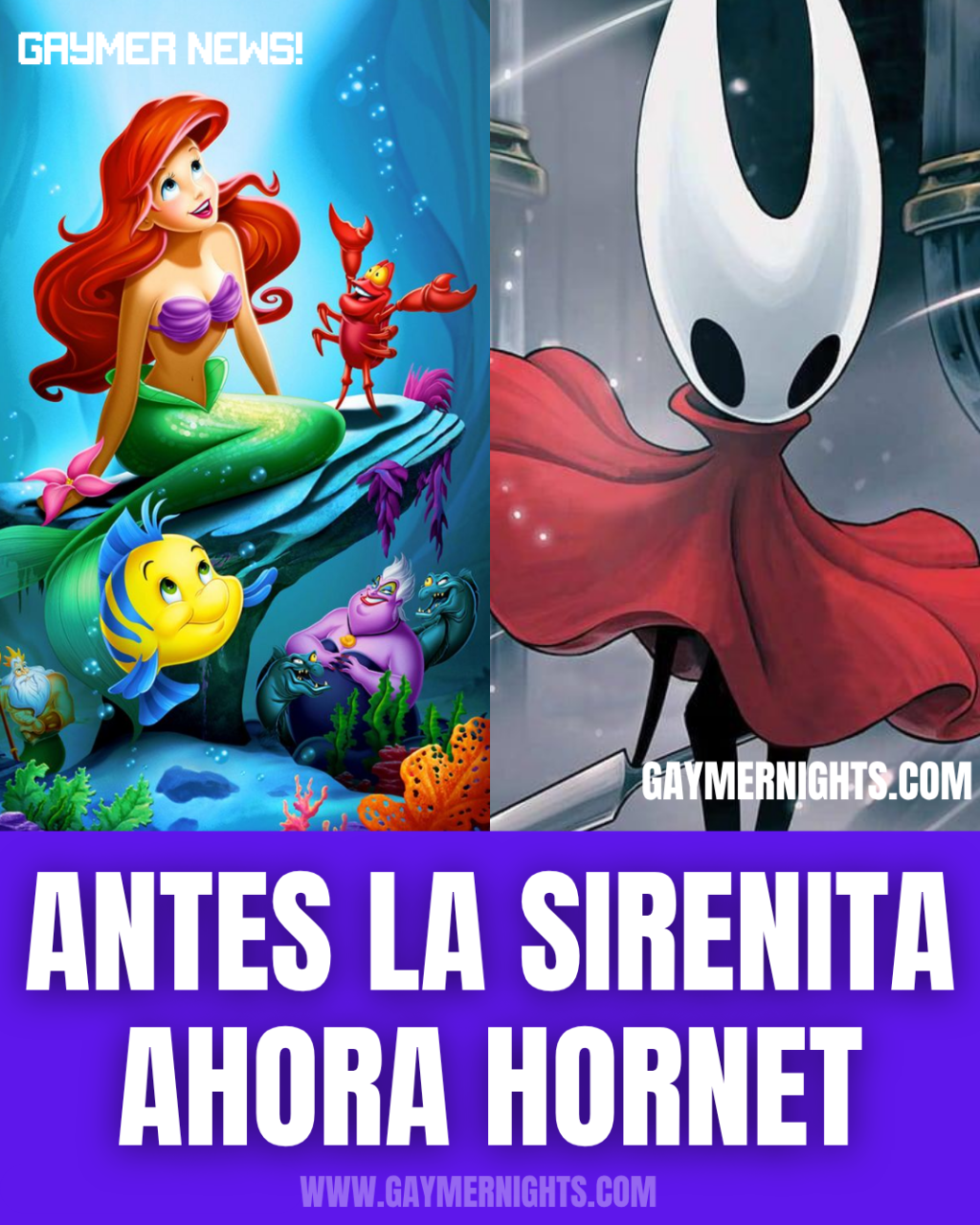 Antes la Sirenita ahora&nbsp;Hornet
